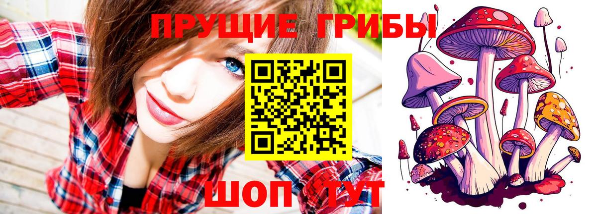Галлюциногенные грибы Psilocybine cubensis  Вход с VPN  Арзамас 