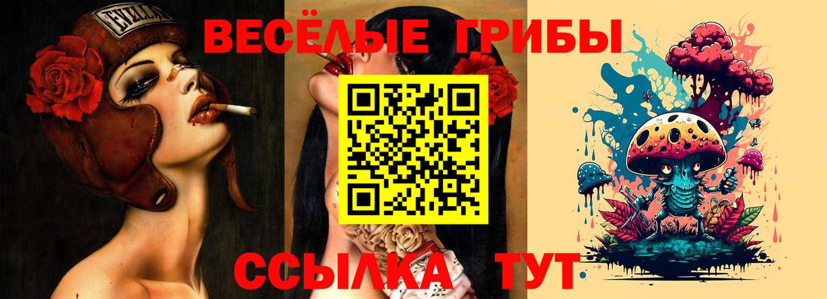 Галлюциногенные грибы GOLDEN TEACHER Арзамас